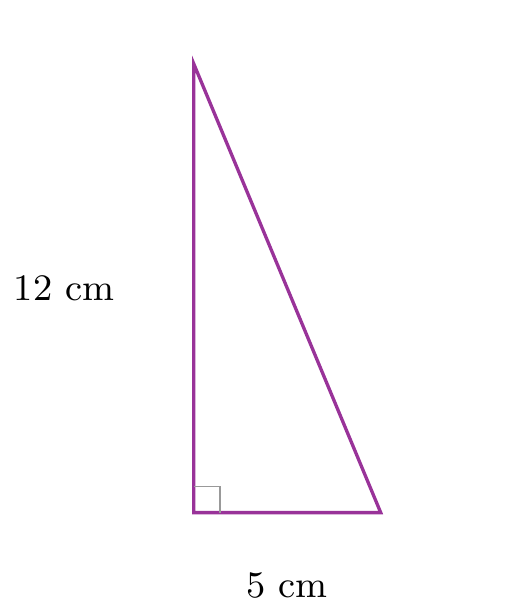 Figure de l'exercice