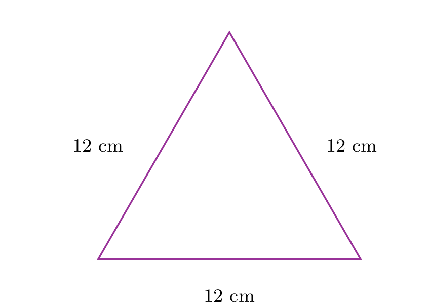 Figure de l'exercice