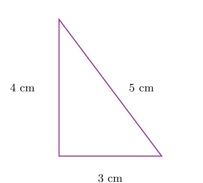 Figure de l'exercice