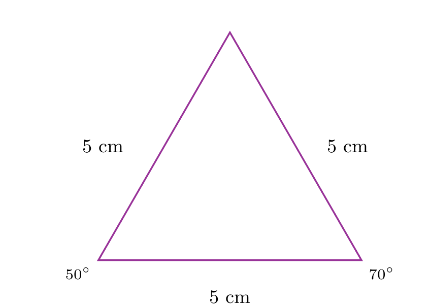 Figure de l'exercice
