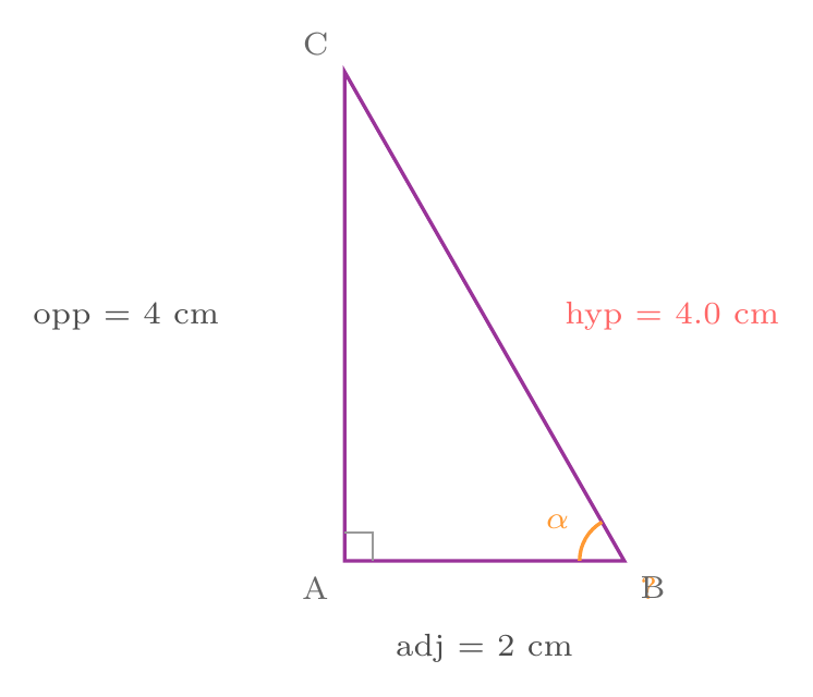 Figure de l'exercice