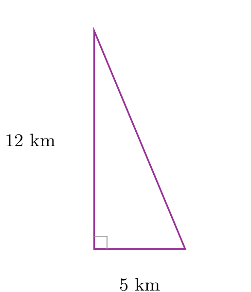 Figure de l'exercice