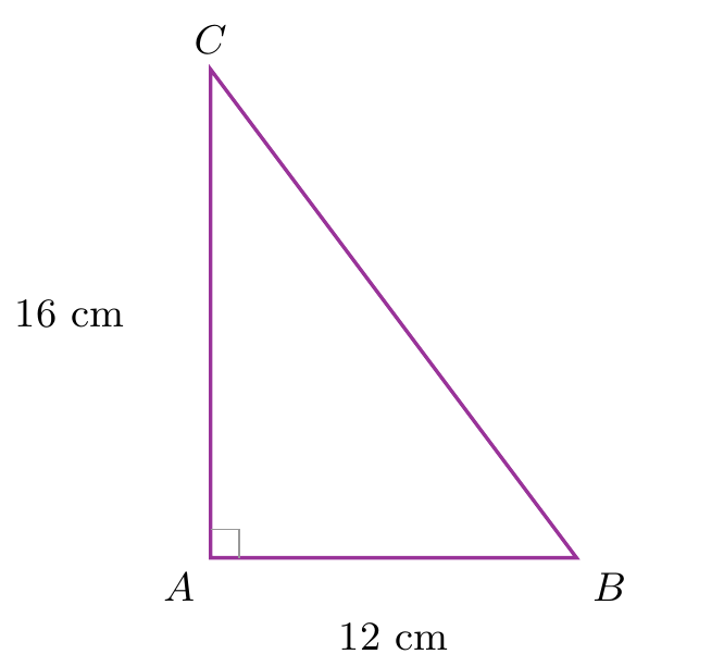 Figure de l'exercice