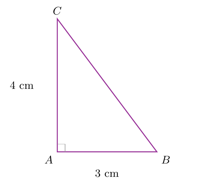 Figure de l'exercice