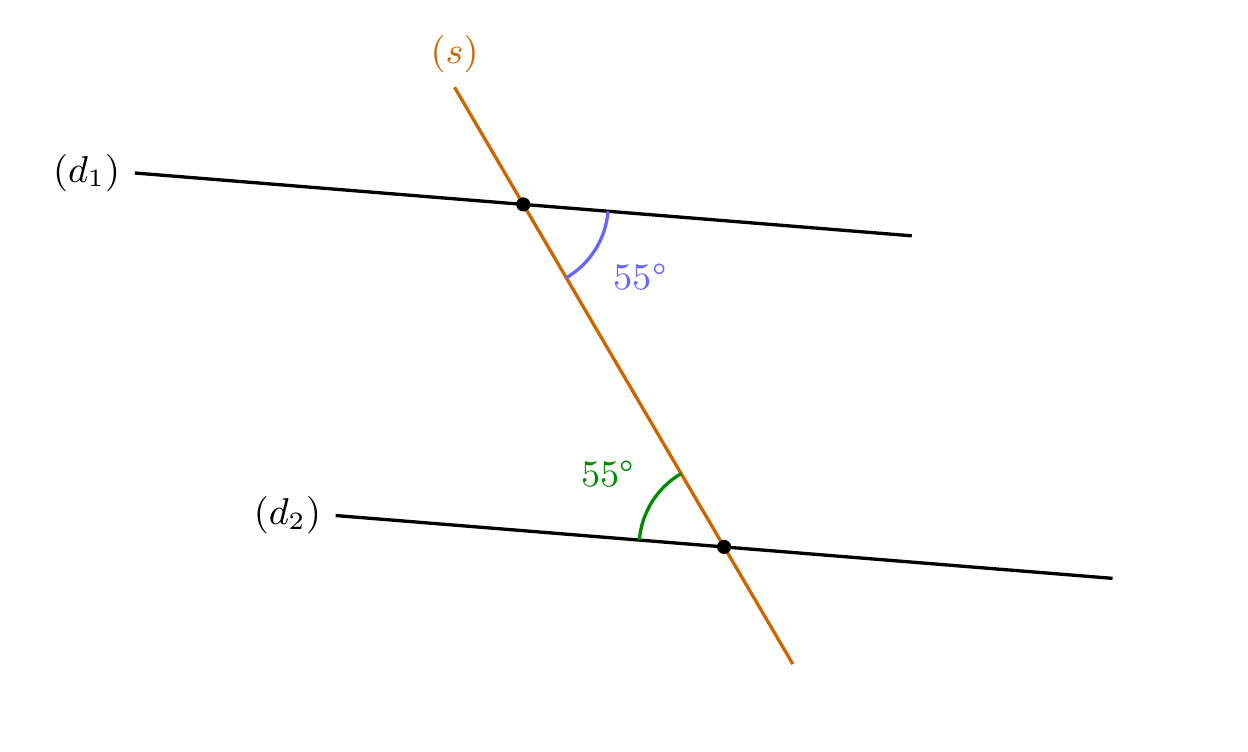 Figure de l'exercice