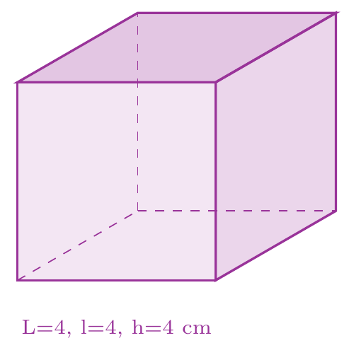 Figure de l'exercice