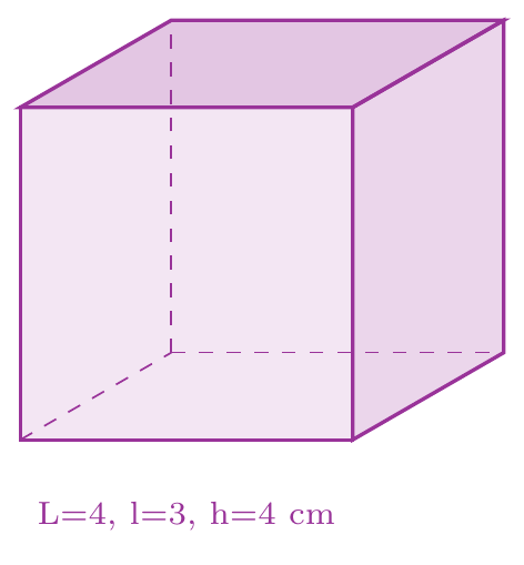 Figure de l'exercice