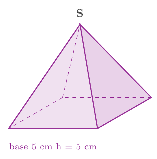 Figure de l'exercice